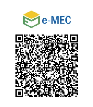Consulta Cadastro e-MEC